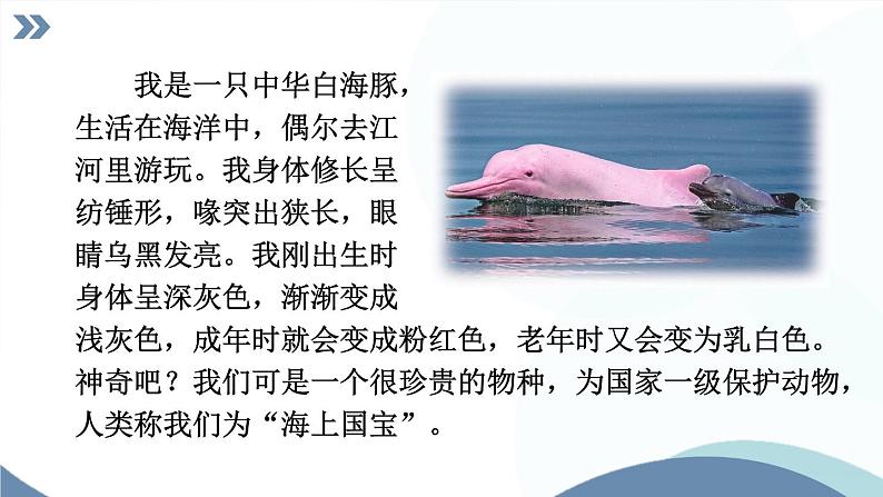 部编版语文七年级上册 任务2 亲近动物，丰富生命体验 课件第7页
