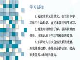 部编版语文七年级上册 任务3 记述与动物的相处 课件