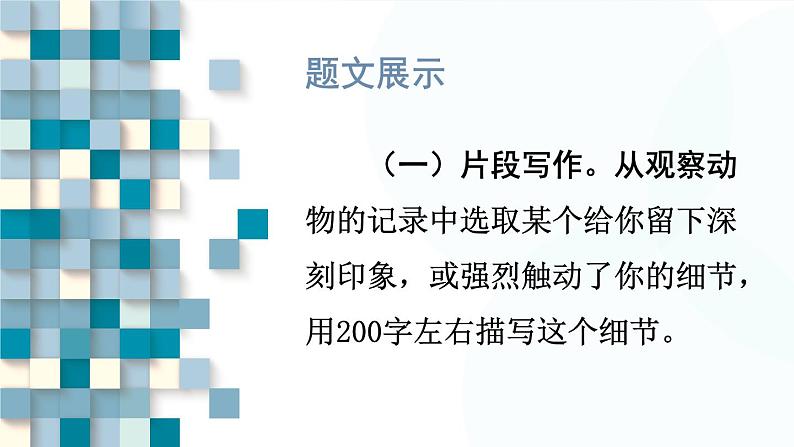 部编版语文七年级上册 任务3 记述与动物的相处 课件04