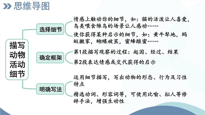 部编版语文七年级上册 任务3 记述与动物的相处 课件05