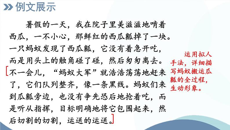 部编版语文七年级上册 任务3 记述与动物的相处 课件06