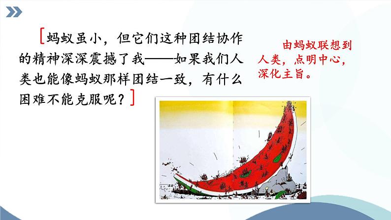 部编版语文七年级上册 任务3 记述与动物的相处 课件07