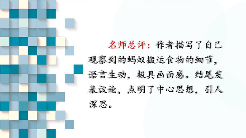 部编版语文七年级上册 任务3 记述与动物的相处 课件08