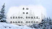 七年级上册15* 梅岭三章/陈毅课堂教学课件ppt
