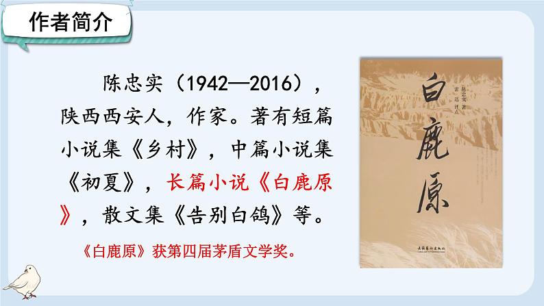 部编版语文七年级上册 18 我的白鸽 课件04