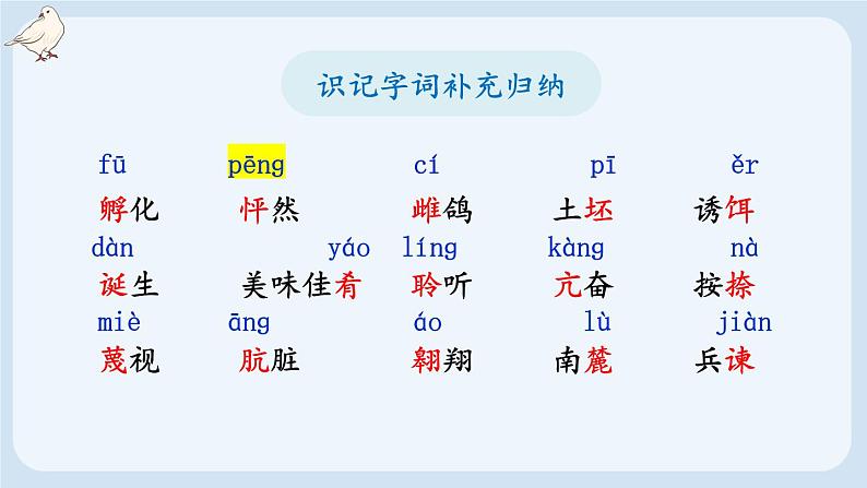 部编版语文七年级上册 18 我的白鸽 课件06