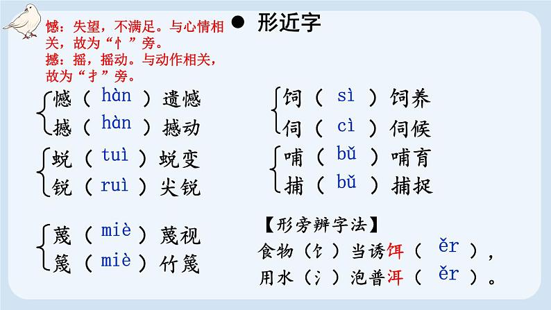 部编版语文七年级上册 18 我的白鸽 课件08