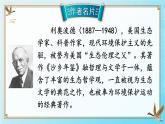 部编版语文七年级上册 19 大雁归来 课件