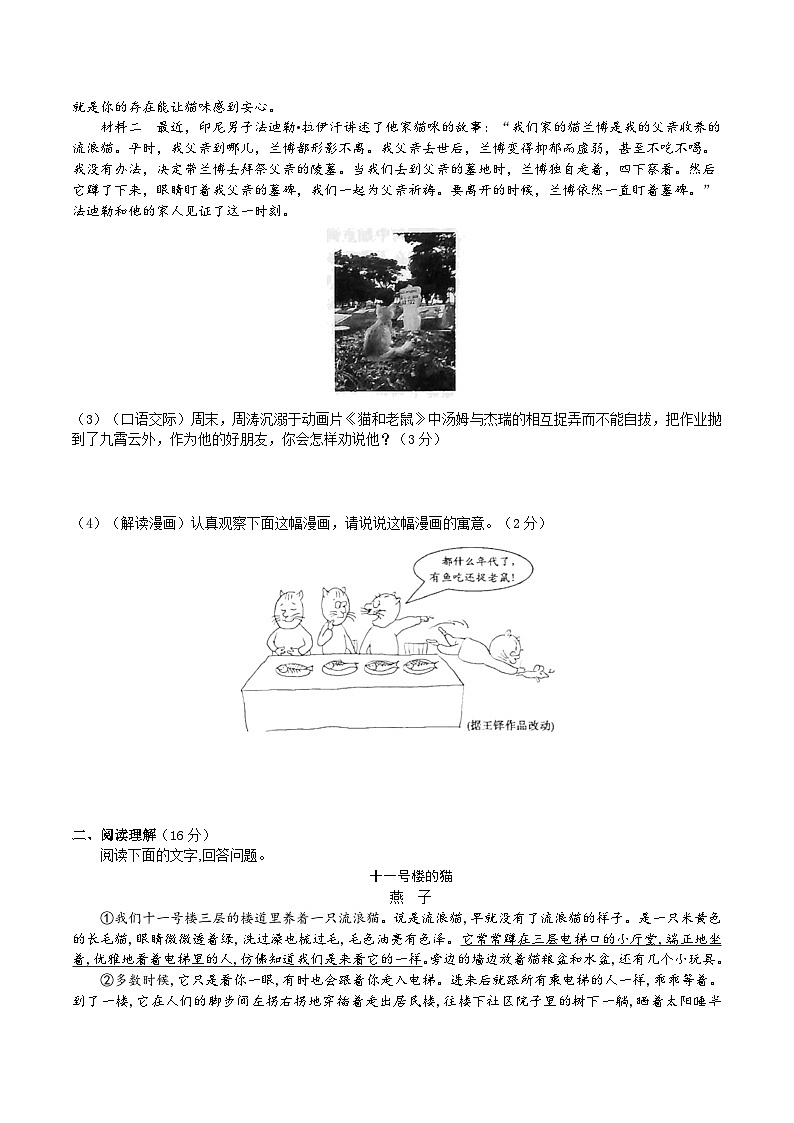 【任务型教学】2024修订版部编初中语文七上17《猫》 课件+教案+导学案（师生版）+同步测试（含答案）03