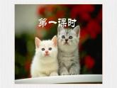 【任务型教学】2024修订版部编初中语文七上17《猫》 课件+教案+导学案（师生版）+同步测试（含答案）