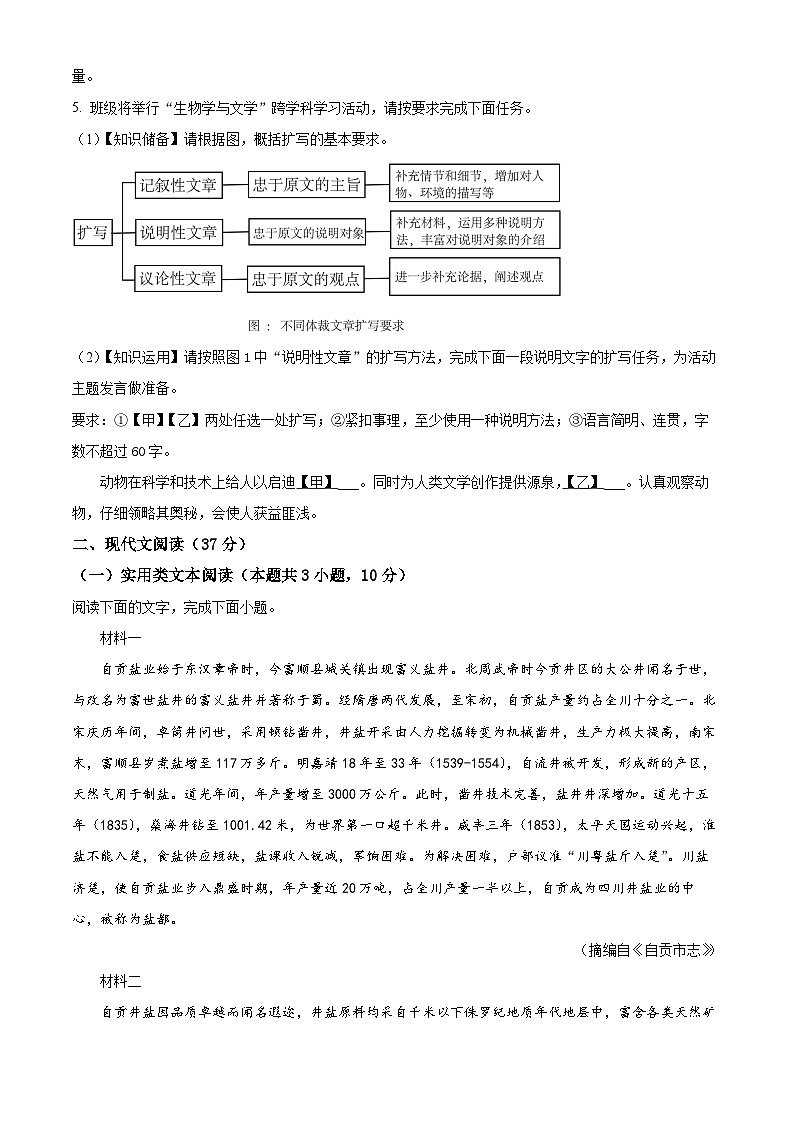 精品解析：2024年四川省自贡市中考语文真题02