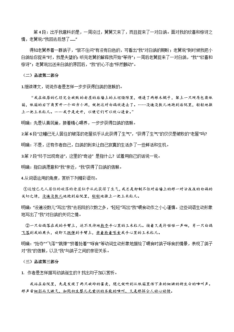 【任务型教学】2024修订版部编语文七上18《我的白鸽》课件+教案+导学案（师生版）+同步检测（含答案）03