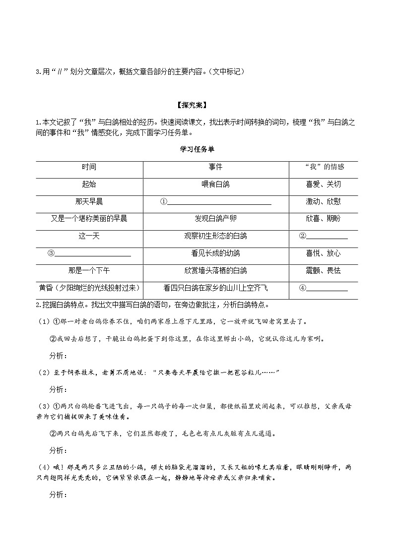 【任务型教学】2024修订版部编语文七上18《我的白鸽》课件+教案+导学案（师生版）+同步检测（含答案）02