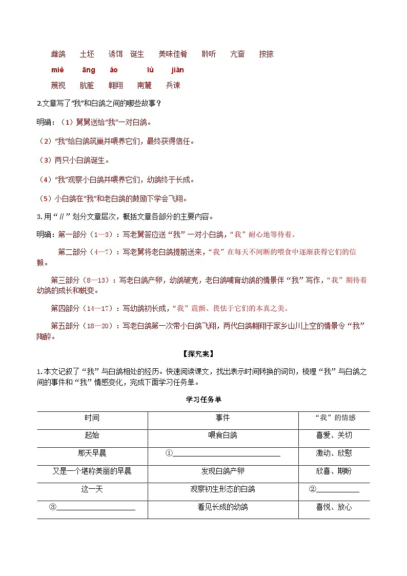 【任务型教学】2024修订版部编语文七上18《我的白鸽》课件+教案+导学案（师生版）+同步检测（含答案）02