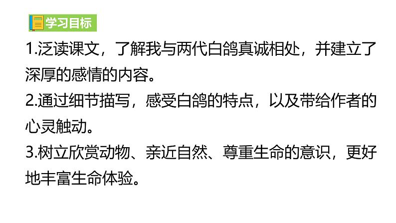 【任务型教学】2024修订版部编语文七上18《我的白鸽》课件+教案+导学案（师生版）+同步检测（含答案）03