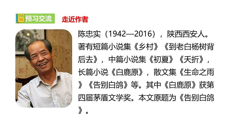 【任务型教学】2024修订版部编语文七上18《我的白鸽》课件+教案+导学案（师生版）+同步检测（含答案）06