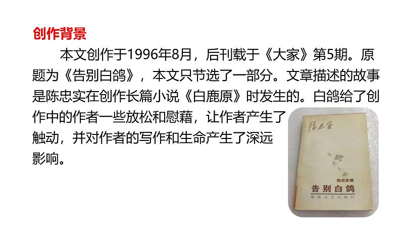 【任务型教学】2024修订版部编语文七上18《我的白鸽》课件+教案+导学案（师生版）+同步检测（含答案）07