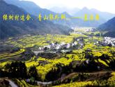答谢中书书   课件 部编版初中语文八年级上册