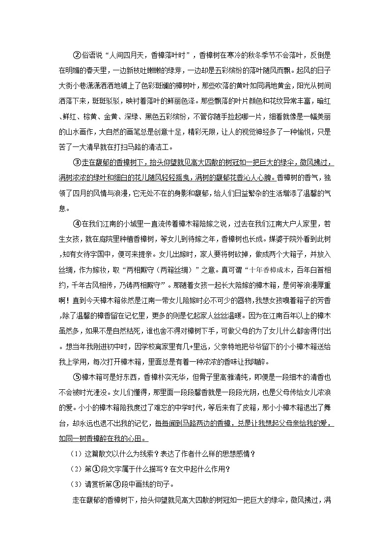 第19课 一颗小桃树 作业分层-2023-2024学年七年级下学期语文部编版第3页