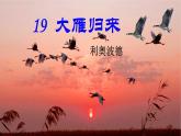 【任务型教学】2024修订版部编初中语文七上19《大雁归来》 课件+教案+导学案（师生版）+同步测试（含答案）