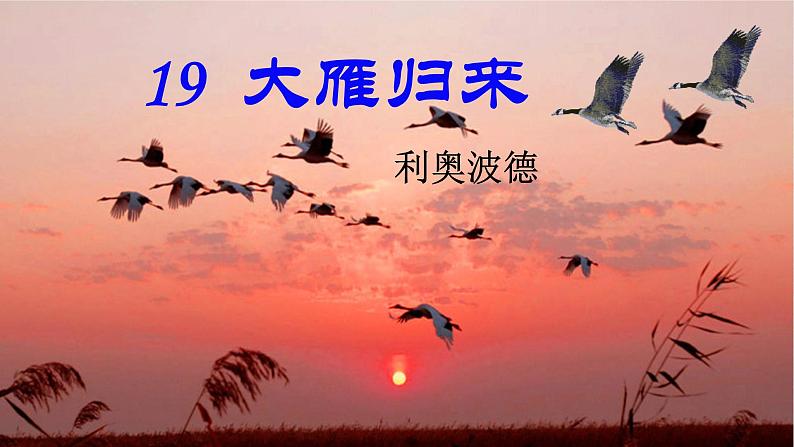 【任务型教学】2024修订版部编初中语文七上19《大雁归来》 课件+教案+导学案（师生版）+同步测试（含答案）03