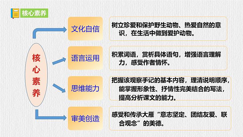 【任务型教学】2024修订版部编初中语文七上19《大雁归来》 课件+教案+导学案（师生版）+同步测试（含答案）04