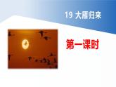 【任务型教学】2024修订版部编初中语文七上19《大雁归来》 课件+教案+导学案（师生版）+同步测试（含答案）