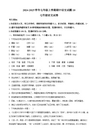 2024-2025学年七年级上学期期中语文试题10