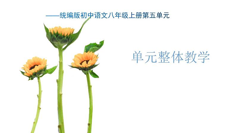 统编初中语文八年级上册第五单元课件第1页