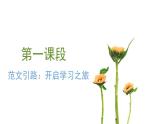 统编版语文八年级上册第5单元大单元设计（教学设计+课件+学习任务单）