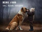 2024修订版部编语文七上第五单元《任务二：亲近动物，丰富生命体验》课件+教案