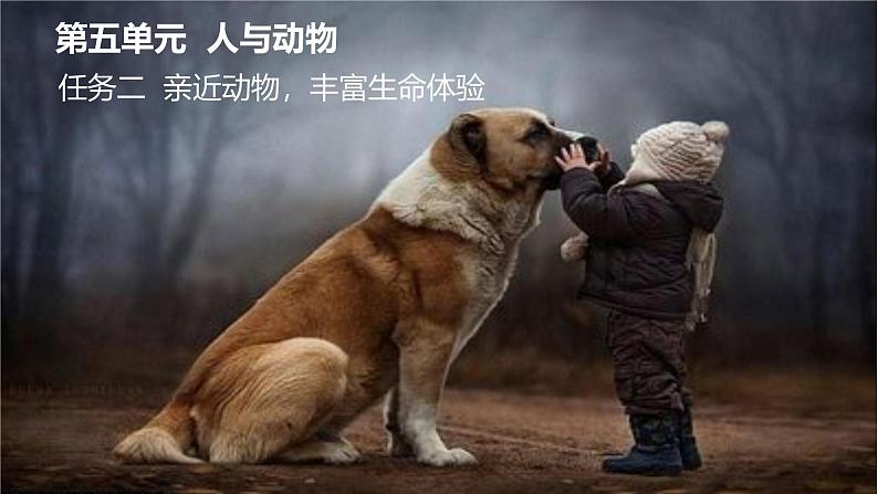 2024修订版部编语文七上第五单元《任务二：亲近动物，丰富生命体验》课件+教案01