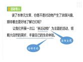2024修订版部编语文七上第五单元《任务二：亲近动物，丰富生命体验》课件+教案