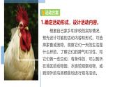 2024修订版部编语文七上第五单元《任务二：亲近动物，丰富生命体验》课件+教案