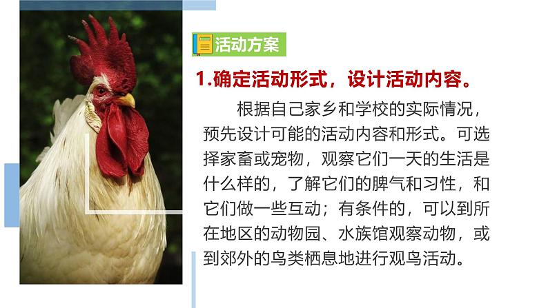 2024修订版部编语文七上第五单元《任务二：亲近动物，丰富生命体验》课件+教案05