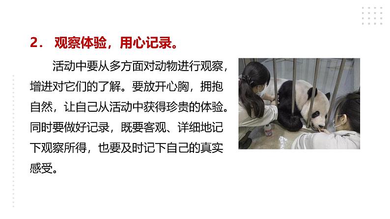 2024修订版部编语文七上第五单元《任务二：亲近动物，丰富生命体验》课件+教案06