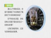 2024修订版部编语文七上第五单元《任务三：记述与动物的相处》课件+教案