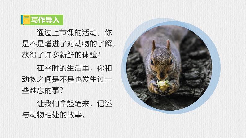 2024修订版部编语文七上第五单元《任务三：记述与动物的相处》课件+教案02