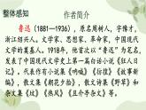 统编版语文八年级上册 6 藤野先生课件