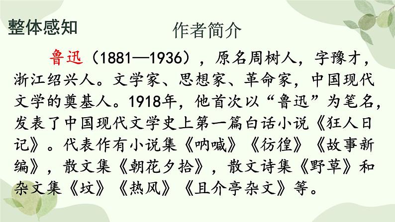 统编版语文八年级上册 6 藤野先生课件第4页