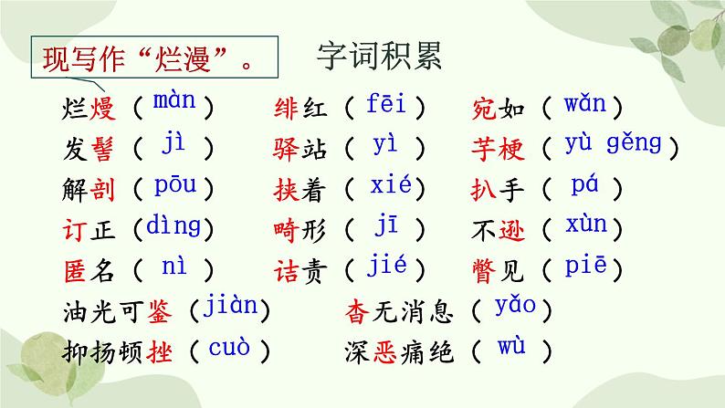 统编版语文八年级上册 6 藤野先生课件第6页