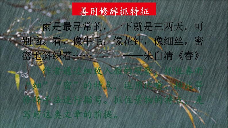 统编版语文八年级上册 写作 学习描写景物课件第5页