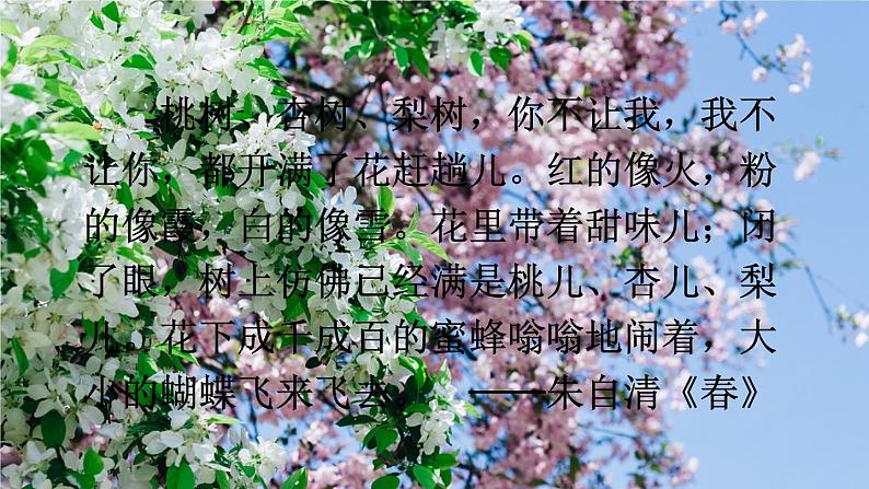 统编版语文八年级上册 写作 学习描写景物课件第6页