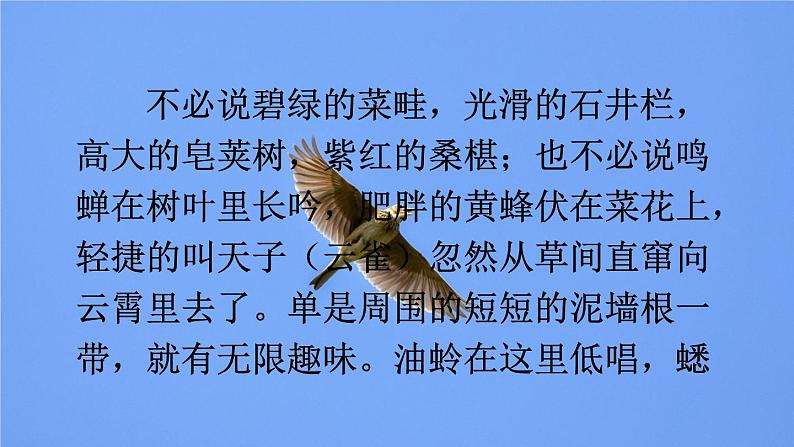 统编版语文八年级上册 写作 学习描写景物课件第8页