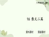 统编版语文八年级上册 16 散文二篇课件