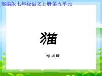 人教部编版七年级上册猫背景图课件ppt