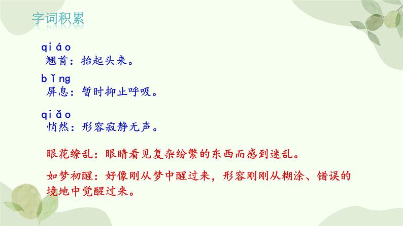 统编版语文八年级上册 3 《 “飞天”凌空——跳水姑娘吕伟夺魁记 》课件第5页