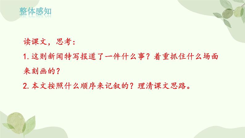 统编版语文八年级上册 3 《 “飞天”凌空——跳水姑娘吕伟夺魁记 》课件第6页