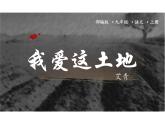 第3课《我爱这土地》课件-2024-2025学年统编版语文九年级上册