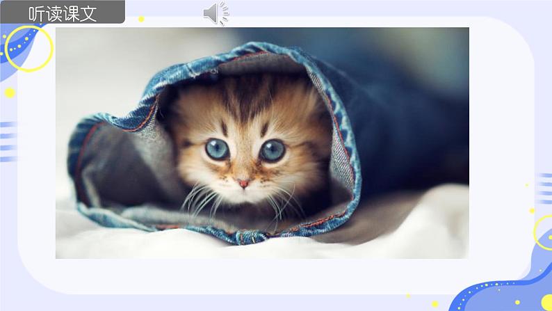 17 猫 课件 2024-2025学年统编版（2024）语文七年级上册05